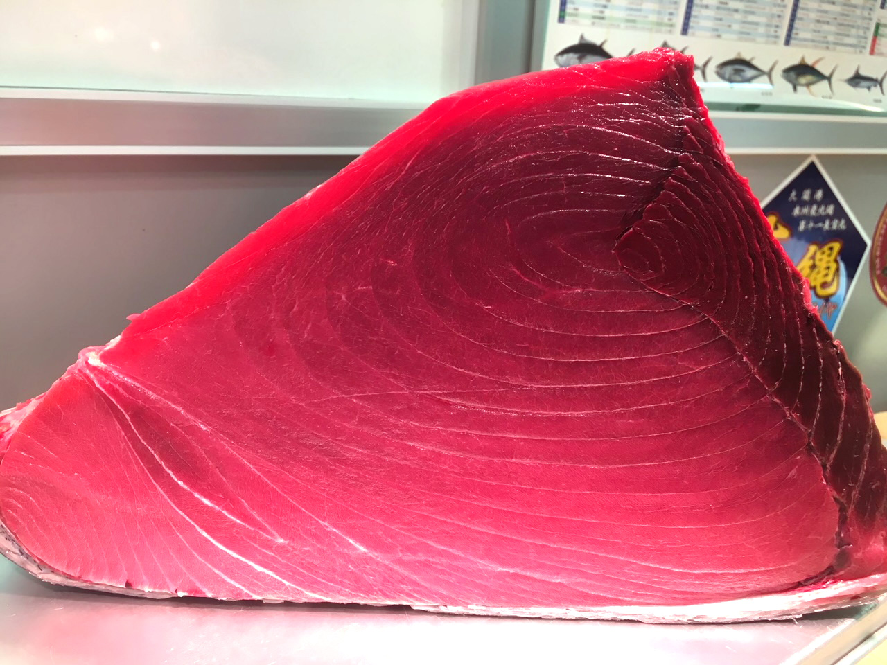 写真：養殖生本マグロ