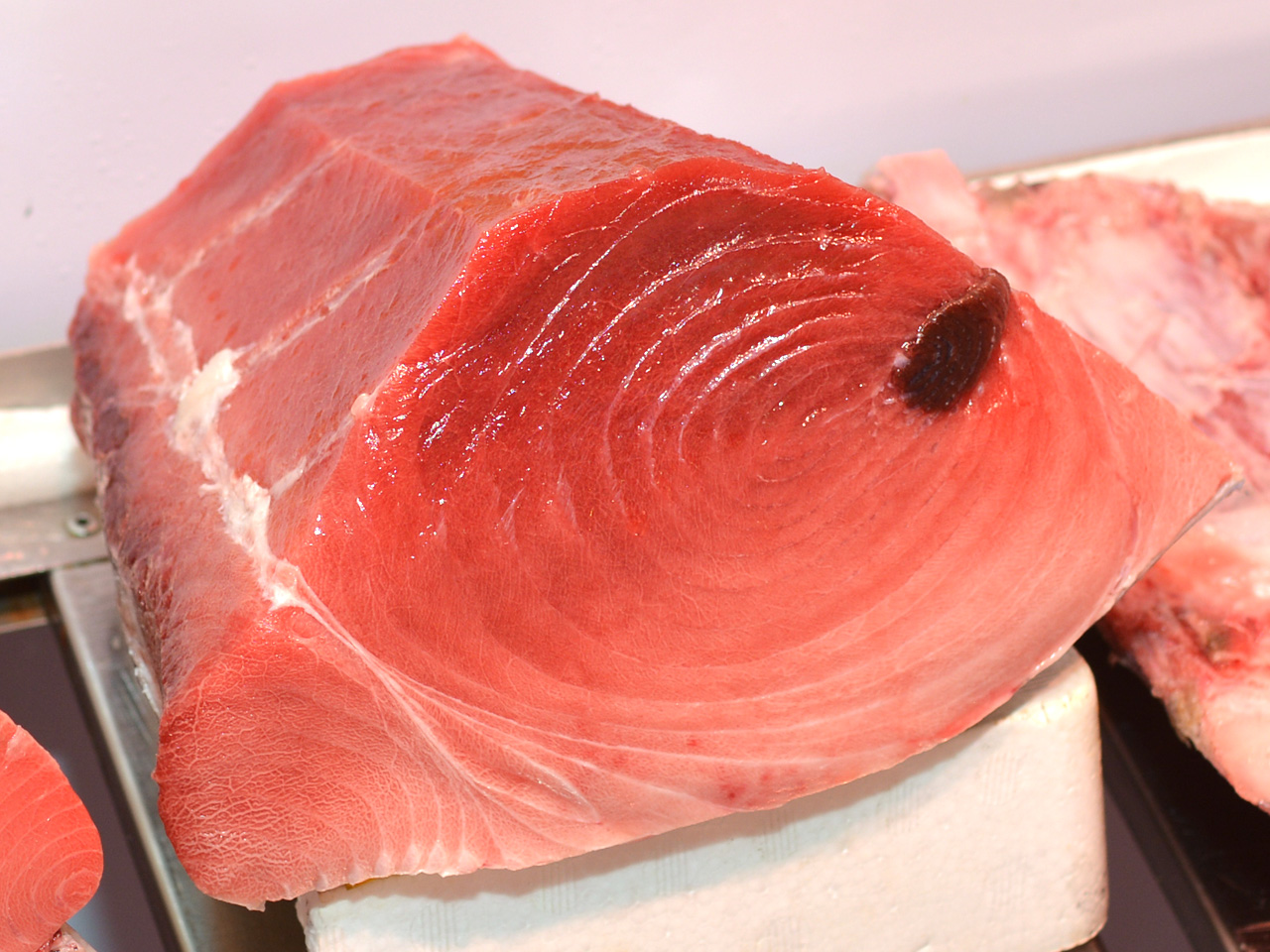 写真：天然冷凍本マグロ